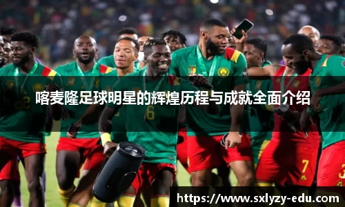 喀麦隆足球明星的辉煌历程与成就全面介绍