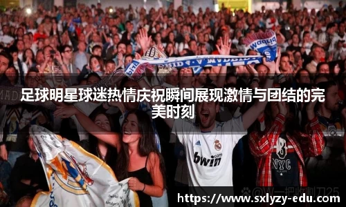 足球明星球迷热情庆祝瞬间展现激情与团结的完美时刻
